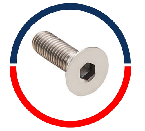 Perno Allen de cabeza plana SS 304